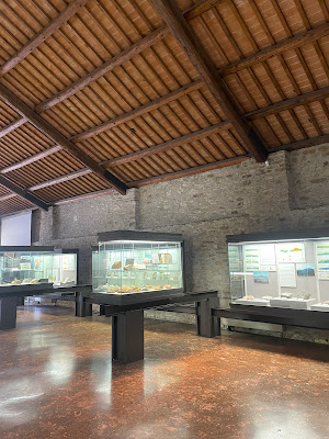 Museo Geopaleontologico Cava Bomba