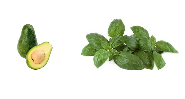 Aguacate y albahaca