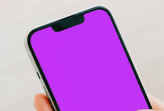 4 Easy Ways to Fix Pink Screen Bug on iPhone 13 Device