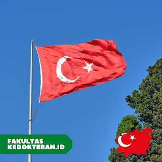 7 fk Terbaik di Turki