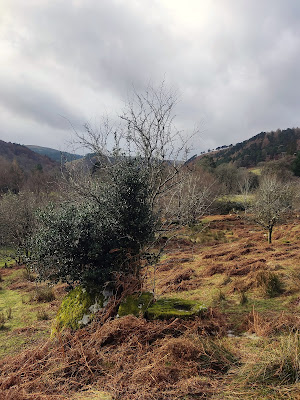 Bullaun Stone, Glendalough