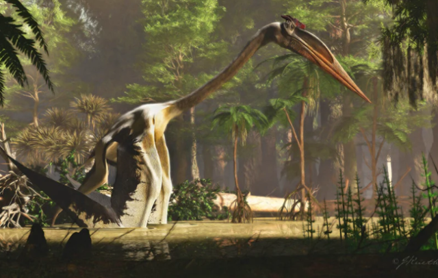 Pterosauro Quetzalcoatlus northropi, il più grande animale volante mai esistito