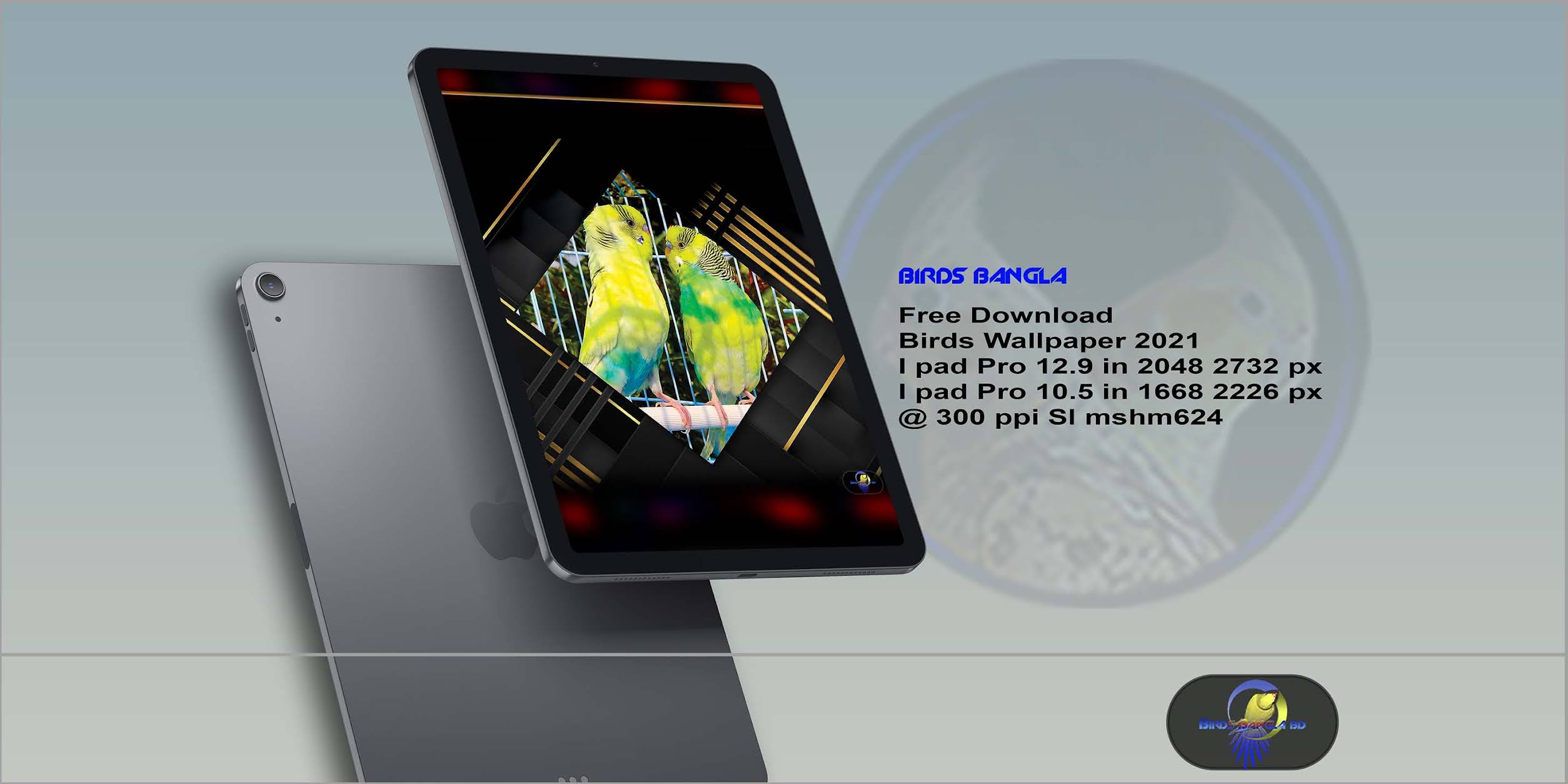 I Pad Retina Birds Wallpaper, SL mshm624
