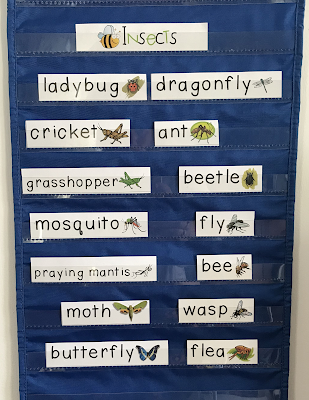 Vocabulary Cards for Kindergarten, 1st, 2nd grade Writing Center