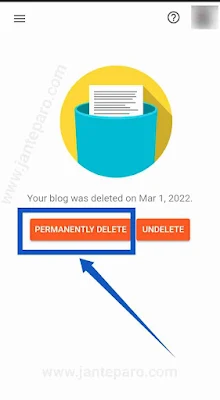 Blogger website Permanently Delete