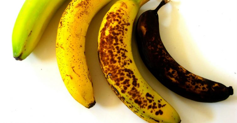 Bananas verdes vs. amarelas: como a maturação afeta a saúde intestinal, o açúcar no sangue e o risco de câncer