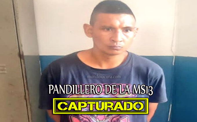 El Salvador: Capturan pandillero de la MS-13 con antecedentes por Acoso Sexual y Homicidio además posee varias órdenes de captura