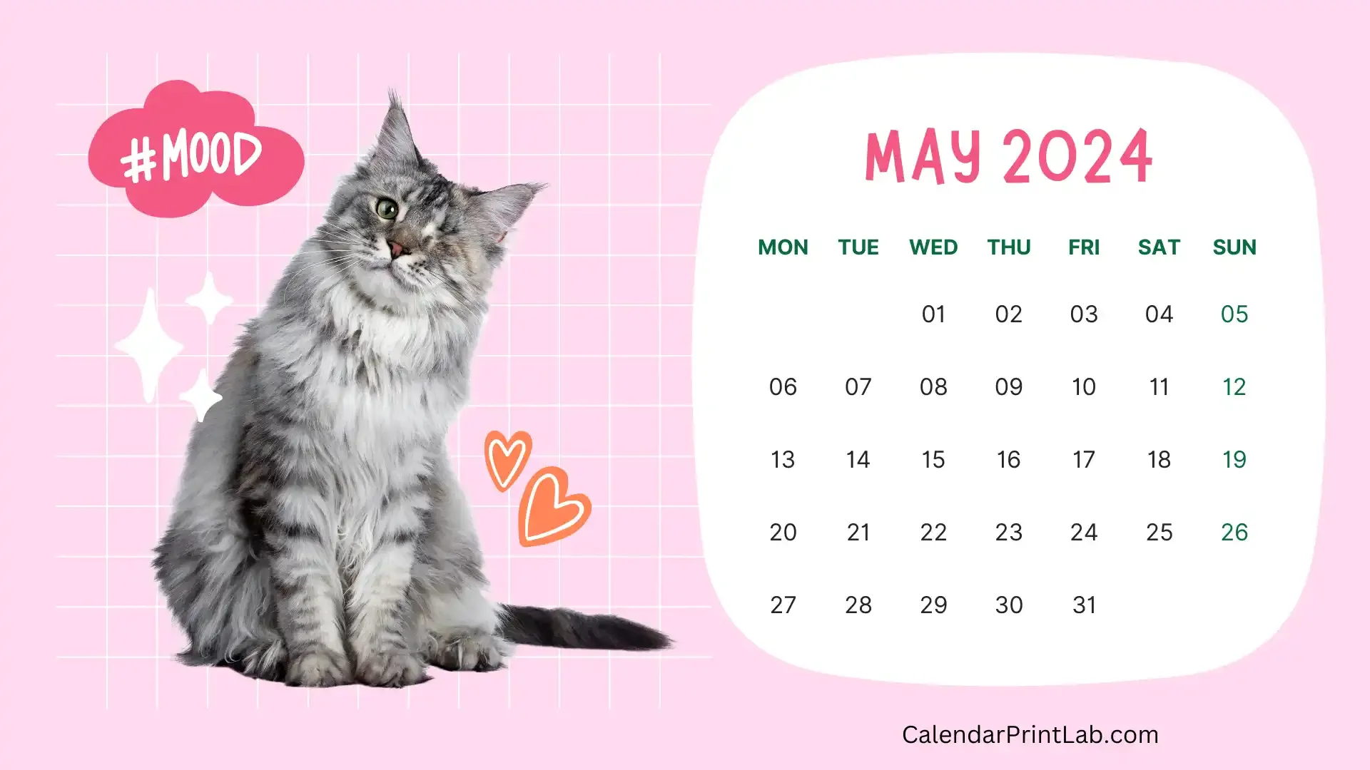 May 2024 Calendar Cat Wallpaper