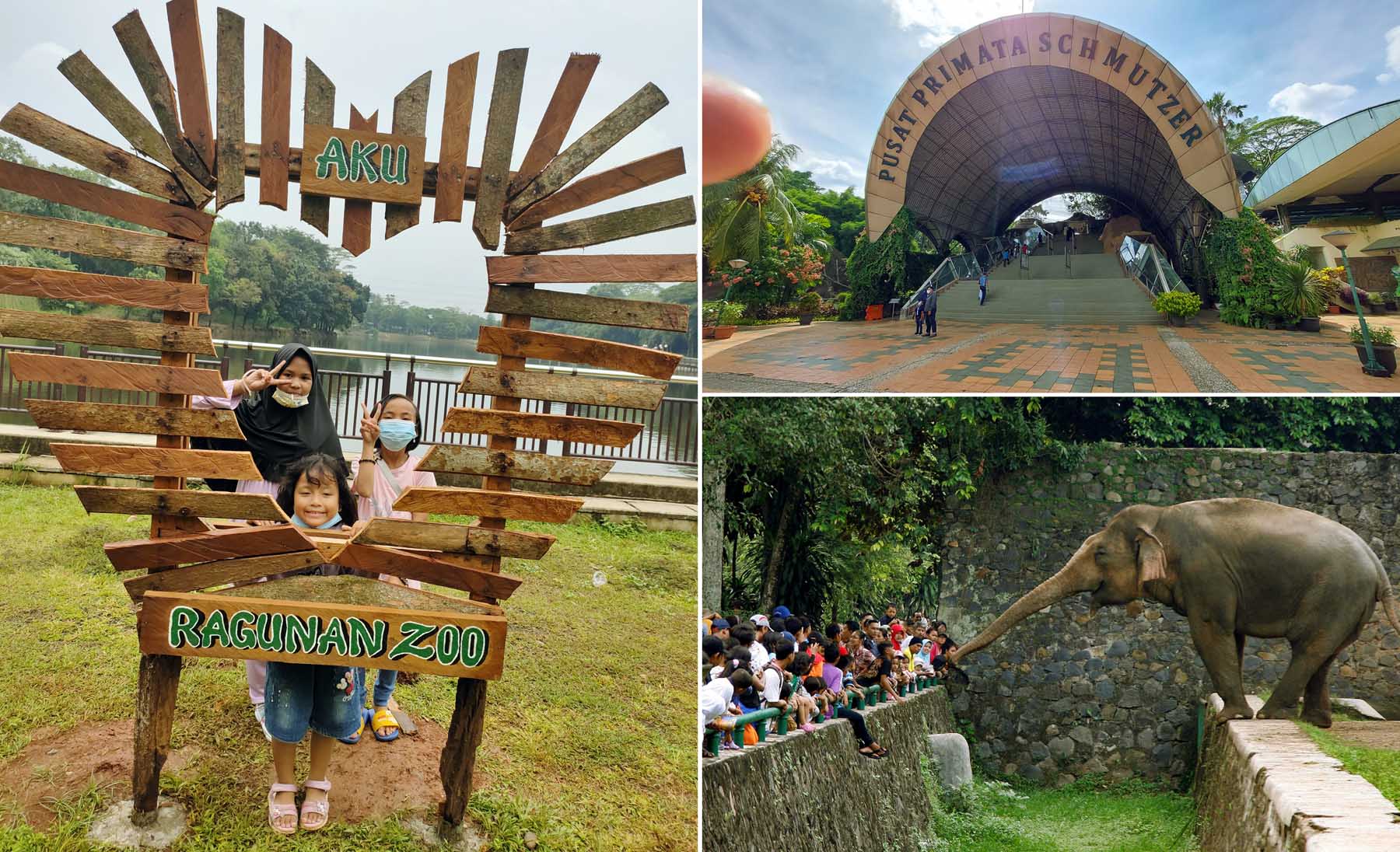 Kebun Binatang Ragunan Jakarta (zoo ragunan)