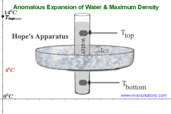 Anomalous expansion of water