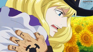 ワンピースアニメ ドレスローザ編 725話 キャベンディッシュ かっこいい Cavendish CV.石田彰 | ONE PIECE Episode 725