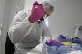 Boletim epidemiológico registra 26 casos de infectados pela Covid-19 em Óbidos 