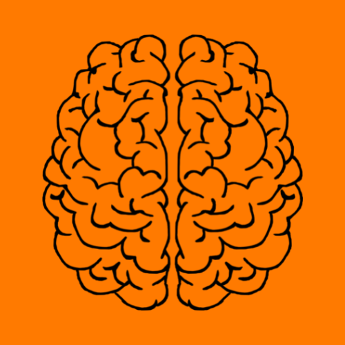 Mind Body Wallet