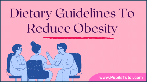 How To Reduce Obesity Through Diet? | Dietary Guidelines To Reduce Obesity - Balanced Diet, Foods & Recipes, Diet Tips | Food Guide To Prevent Obesity - www.pupilstutor.com