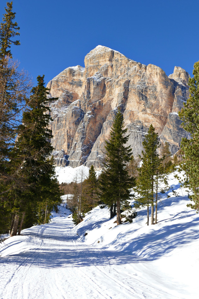 cortina inverno cosa fare neve