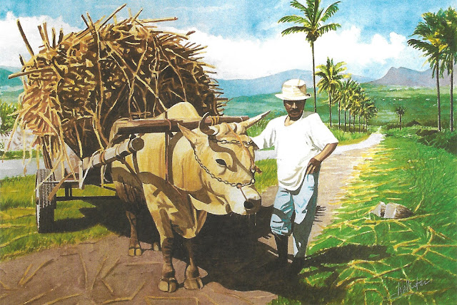 Watercolour of a sugar cane farmer with an ox-drawn cart loaded with cane, "Saint-Louis en novembre," by William Walkington