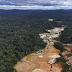 PF desarticula 10 garimpos ilegais no Amazonas