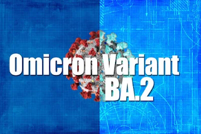 subvariante BA.2, também conhecida como Stealth Omicron, seja a causa da maioria das infecções.