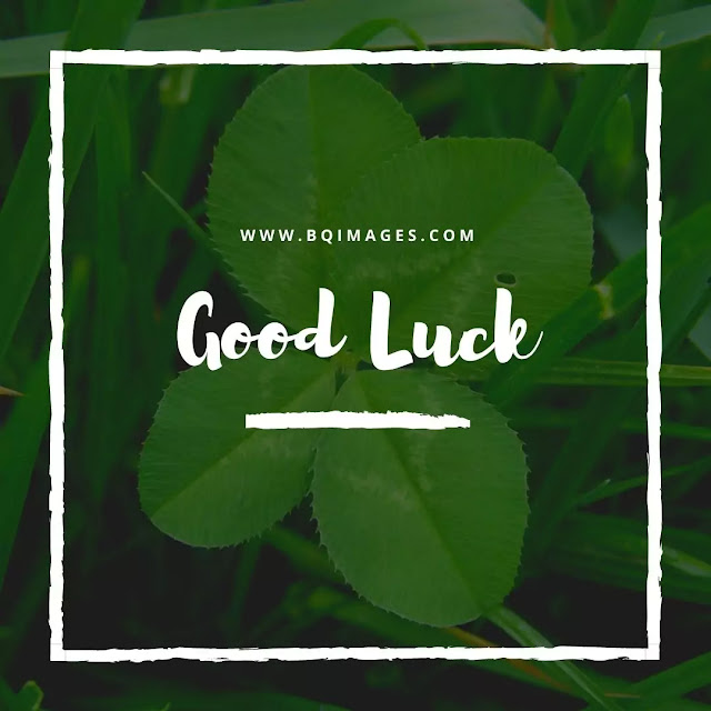 Beautiful Good Luck Images