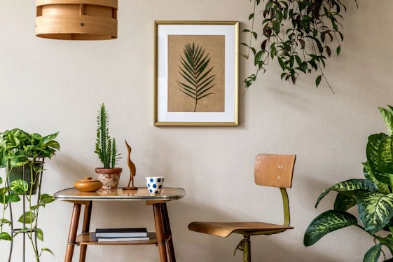 How to Grow Plants at Home? Advantages of Growing Plants at Home - ITechnical World