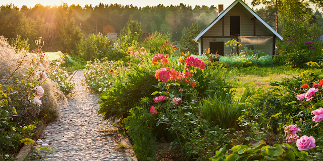 Gardening at home