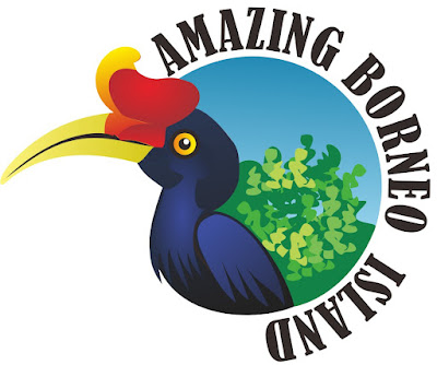 Amazing Borneo Hornbill Vector Design