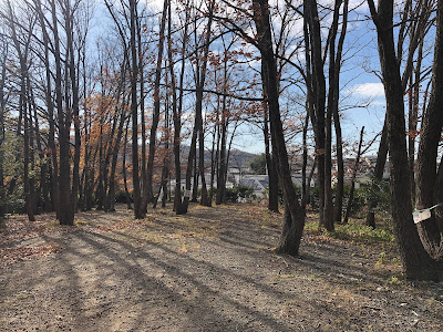 星田公園 林間広場