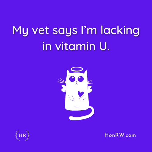 Cat Pick Up Lines