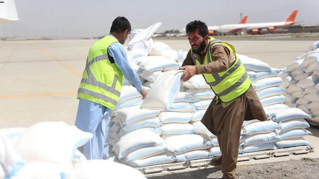 India plans to send 50,000 MT of wheat, medical aid to Afghanistan: Report