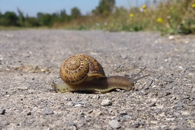 Ruta para ir poco a poco