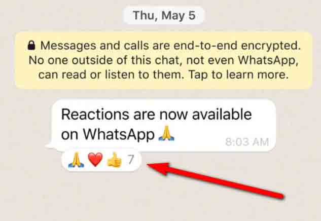 تحديث WhatsApp جديد بردود فعل الرموز التعبيرية ومشاركة الملفات حتى 2 جيجا بايت ومجموعات من 512 شخصًا