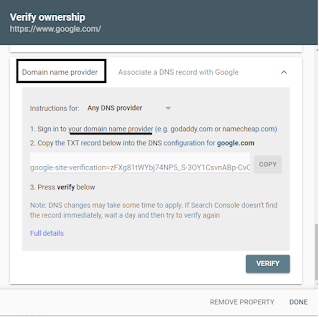 DNS data addition