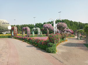 Miracle Garden in Dubai.