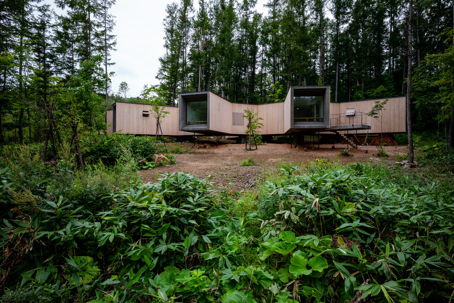 Casa en el bosque por Florian Busch Architects