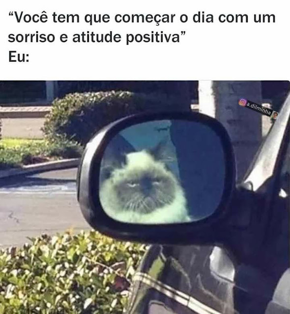 150 memes fofos de animais para você ter na manga