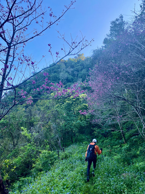 小鬼湖林道