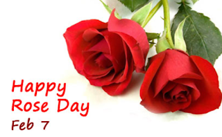 Happy Rose Day 2022 Image - हैप्पी रोज डे इमेज फोटो