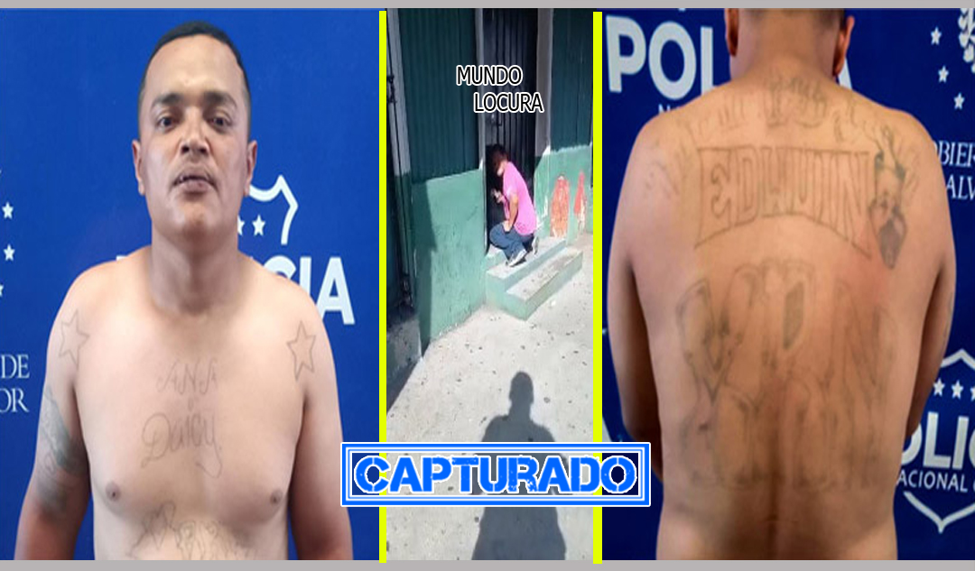El Salvador: Capturan a alias "Cangrejo", pandillero hurtó en varios negocios a un costado del Parque Infantil, en San Salvador
