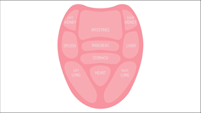 How to clean your tongue - Benefits of Tongue Scraping daily every night and morning-02