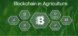 Blockchain Technology in Agribusiness