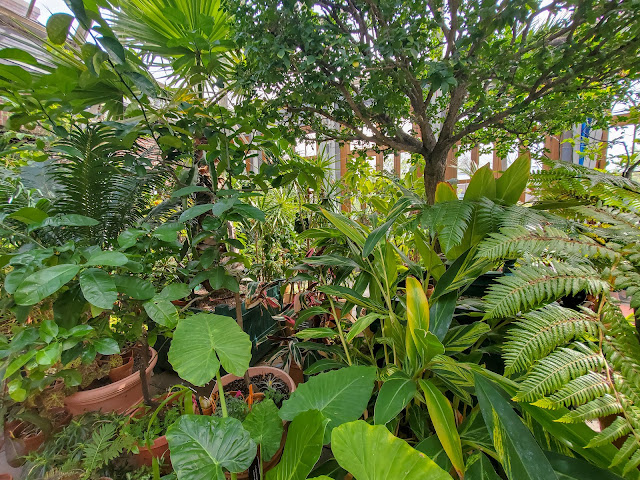 greenhouse-garden-new england botanic garden at tower hill massachusetts
