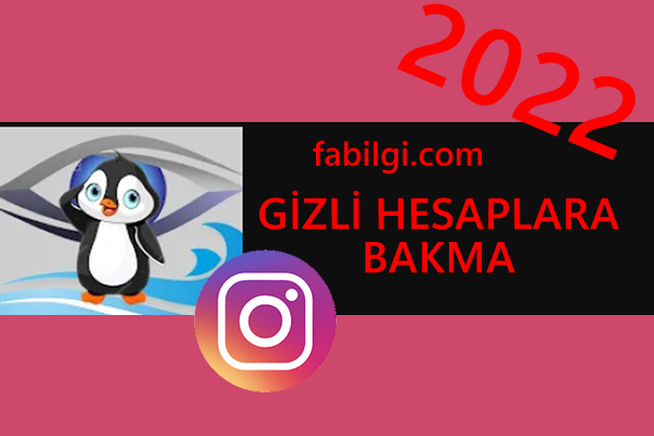 Instagram Gizli Hesapları Görme Uygulaması Nunu Web 2022