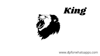 King DP | King Image | King Photo | King Wallpaper