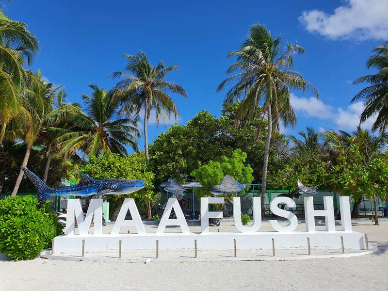 Viagem barata para as Maldivas: um guia com tudo o que você precisa saber antes de ir