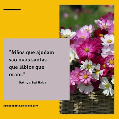 Frase do Dia - 11 de Outubro - Sathya Sai Baba