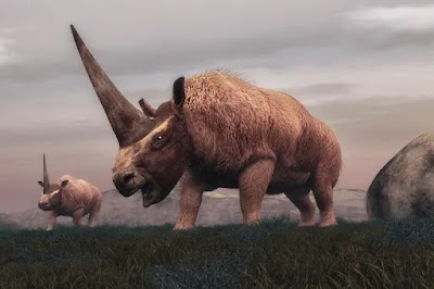 فريق دولي من علماء الآثار يعثر على حفريات لفصيلة فريدة منقرضة من وحيد القرن عاشت في المغرب قبل ملايين السنين بحوض مدينة ورزازات جنوبي الأطلس الكبير