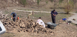 Hard work cutting very hard wood