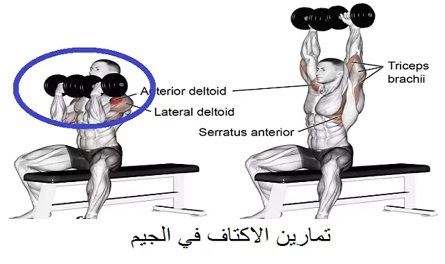 تمرين الاكتاف في الجيم