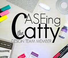 CASE-ing the Catty Sunday Challenge Design Team