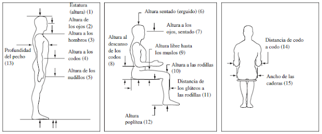 ANTROPOMETRÍA Y DISEÑO